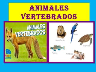AnimAles
vertebrAdos
 