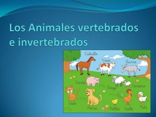 Los Animales vertebrados e invertebrados 