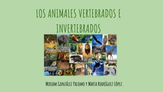 LOS ANIMALES VERTEBRADOS E
INVERTEBRADOS
Miriam González Palomo y Marta Rodríguez López.
 