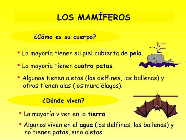 Los Animales Vertebrados Ud4
