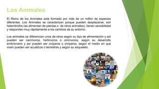 Los Animales
El Reino de los Animales está formado por más de un millón de especies
diferentes. Los Animales se caracterizan porque pueden desplazarse, son
heterótrofos (se alimentan de plantas o de otros animales), tienen sensibilidad
y responden muy rápidamente a los cambios de su entorno.
Los animales se diferencian unos de otros según su tipo de alimentación y así
pueden ser carnívoros, herbívoros o omnívoros, según su desarrollo
embrionario y así pueden ser ovíparos o vivíparos, según el medio en que
viven pueden ser acuáticos o terrestres y según su esqueleto.
 