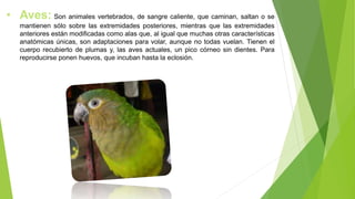 • Aves: Son animales vertebrados, de sangre caliente, que caminan, saltan o se
mantienen sólo sobre las extremidades posteriores, mientras que las extremidades
anteriores están modificadas como alas que, al igual que muchas otras características
anatómicas únicas, son adaptaciones para volar, aunque no todas vuelan. Tienen el
cuerpo recubierto de plumas y, las aves actuales, un pico córneo sin dientes. Para
reproducirse ponen huevos, que incuban hasta la eclosión.
 