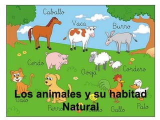 Los animales y su habitad
        Natural
 