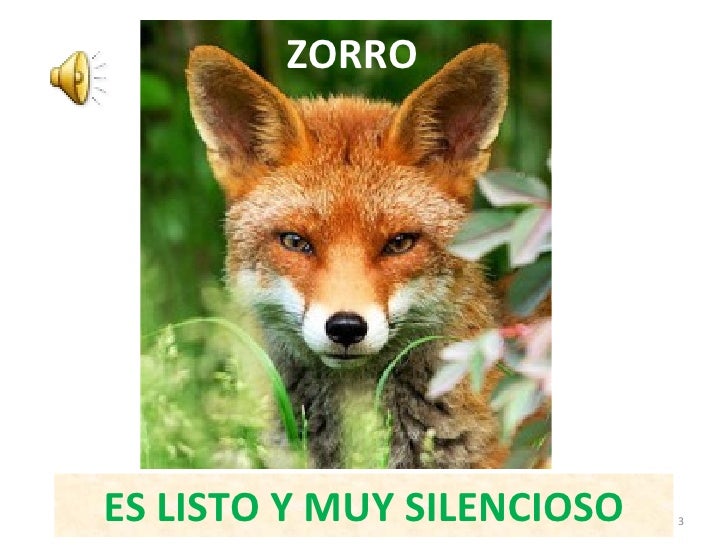 Los animales y sus cualidades