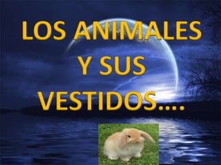 LOS ANIMALES Y SUS VESTIDOS…. 