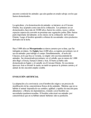 ancestro comúnde los animales que aún quedan en estado salvaje con los que
fueron domesticados.
La agricultura y la domesticación de animales se iniciaron en el Cercano
Oriente, hoy aceptado como cuna de la civilización. Los primeros en ser
domesticados, hace más de 10.000 años, fueron los cerdos, vacas y cabras;
especies capaces de convertir en proteínas una vegetación pobre. Ellos fueron
parte importante del alimento en los inicios de la civilización del Cercano
Oriente. Luego el hombre aprendió a obtener de sus animales otros productos
derivados de la leche.
Hace 5.000 años en Mesopotamia secriaron carneros por su lana, que fue
trabajada en telares. En Egipto, hace 6.000 años, se registra por primera vez el
uso de animales para trabajar el campo. Simultáneamente, al norte del
Cáucaso, en lo que hoy es Ucrania, se originó otro uso trascendental de
animales: fue domesticado porprimera vez el caballo, que en menos de 1.000
años llegó a Grecia, Europa Central y Asia. El burro ya había sido
domesticado en Egipto y el camello en el Cercano Oriente. En esa misma
épocaen Asia se inventó la rueda; no tardó en aparecer la primera carreta y el
animal de tiro encontró empleo estable.
EVOLUCIÓN ARTIFICIAL
La adaptación a la convivencia con el hombre dio origen a un proceso de
modificación de las características físicas de los animales. Mientras que en su
hábitat el animal dependía de sus sentidos, agilidad y rapidez de reacción para
alimentarse y librarse de depredadores, viviendo conel hombre sus
necesidades quedaron resueltas. El hombre seleccionó sus animales por
características que en su hábitat natural hubieran sido su perdición.
 