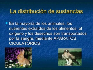 La distribución de sustanciasLa distribución de sustancias
 En la mayoría de los animales, losEn la mayoría de los animales, los
nutrientes extraídos de los alimentos, elnutrientes extraídos de los alimentos, el
oxígeno y los desechos son transportadosoxígeno y los desechos son transportados
por la sangre, mediante APARATOSpor la sangre, mediante APARATOS
CICULATORIOSCICULATORIOS
 