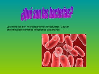¿Qué son las bacterias? Las bacterias son microorganismos unicelulares. Causan enfermedades llamadas infecciones bacterianas. 