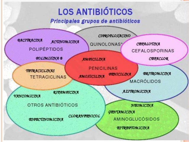 Los antibioticos Los antibioticos