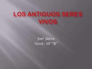 Joel Játiva
Nivel : 10º “B”
 