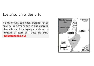Los años en el desierto