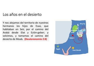 Los años en el desierto