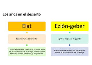 Los años en el desierto