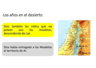 Los años en el desierto