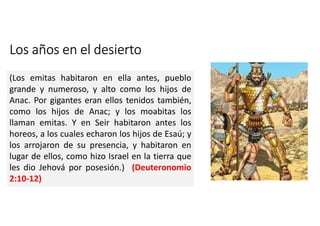 Los años en el desierto