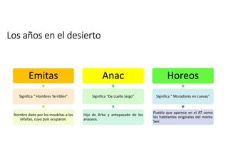 Los años en el desierto