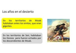 Los años en el desierto