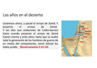 Los años en el desierto