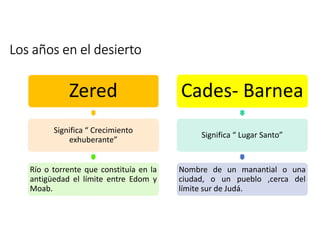 Los años en el desierto