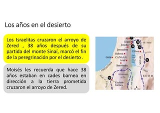 Los años en el desierto