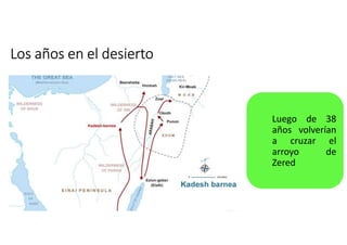 Los años en el desierto