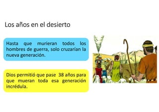 Los años en el desierto