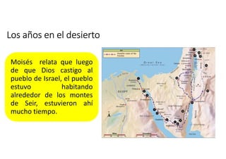 Los años en el desierto