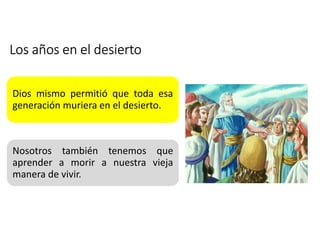 Los años en el desierto