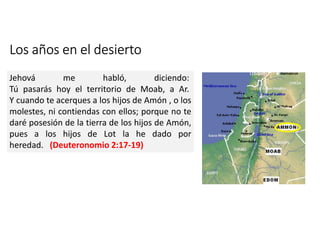 Los años en el desierto