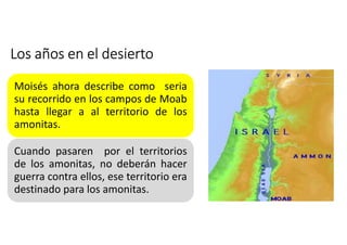 Los años en el desierto