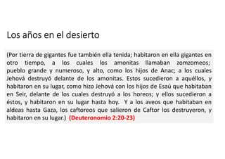 Los años en el desierto