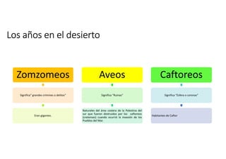 Los años en el desierto