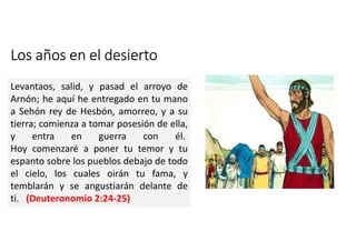 Los años en el desierto