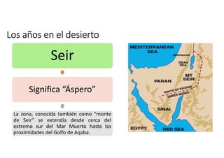 Los años en el desierto