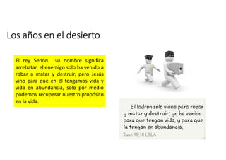 Los años en el desierto