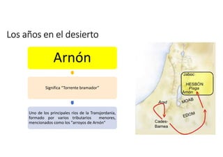 Los años en el desierto