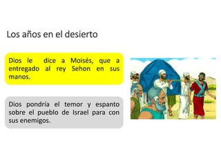 Los años en el desierto