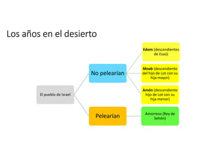 Los años en el desierto