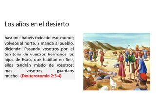 Los años en el desierto