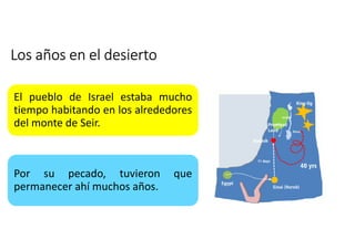 Los años en el desierto