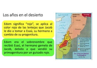 Los años en el desierto