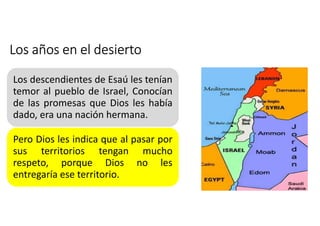 Los años en el desierto