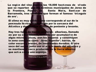 .


    La región del vino supera las 18.000 hectáreas de viñedo
    que se reparten por los términos municipales de Jerez de
    la Frontera, Puerto de        Santa María, Sanlúcar de
    Barrameda, tres ciudades que forman el famoso “triángulo
    de oro”.
    El clima es muy cálido como corresponde al sur de la
    península Ibérica, atemperado por la cercanía del
    Atlántico y dominantes vientos de poniente y levante.

    Hay tres tipos de tierras en Jerez; albarizas, llamada
    así por su color blanco, formada por acumulación de
    algas microscópicas, son las mejores y constituyen
    la zona conocida como “Jerez Superior”; barros, de
    color oscuro y arenas, de tonalidades doradas. El aire
    seco del sur se junta con el aire húmedo del atlántico y
    se mantiene el rocío producido en la tierra albariza
    que actúa como una esponja.
 