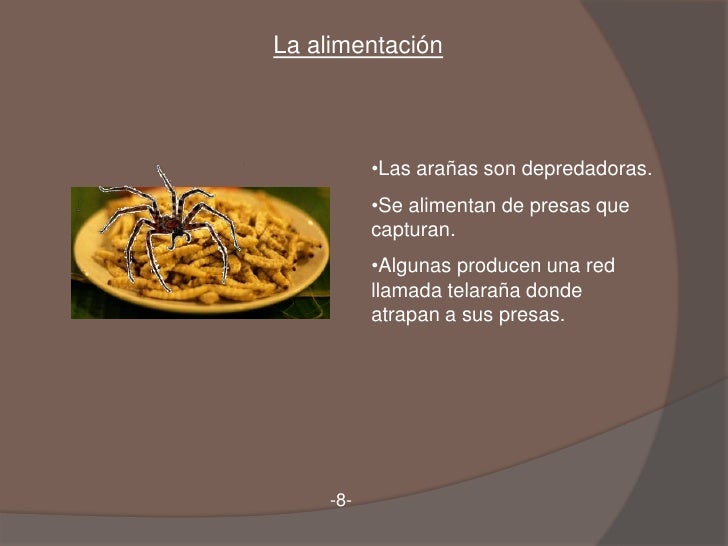 Los arácnidos Los arácnidos