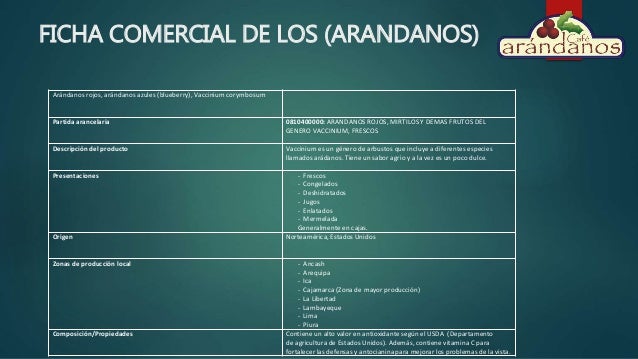 Arandanos azules para bajar de peso