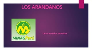 LOS ARANDANOS
CRUZ NUREÑA, VANESSA
 