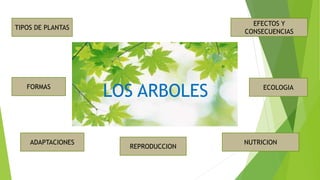 LOS ARBOLES
TIPOS DE PLANTAS
REPRODUCCION
FORMAS
ADAPTACIONES NUTRICION
ECOLOGIA
EFECTOS Y
CONSECUENCIAS
 