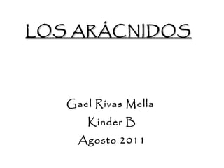 LOS ARÁCNIDOS Gael Rivas Mella  Kinder B Agosto 2011 
