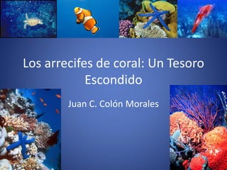 Los arrecifes de coral: Un Tesoro
            Escondido
        Juan C. Colón Morales
 