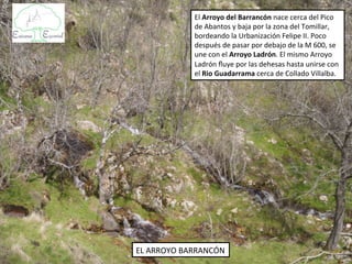 El Arroyo del Barrancón nace cerca del Pico
            de Abantos y baja por la zona del
            Tomillar, bordeando la Urbanización Felipe II.
            Poco después de pasar por debajo de la M
            600, se une con el Arroyo Loco. El mismo
            Arroyo Loco fluye por las dehesas hasta
            unirse con el Rio Guadarrama cerca de
            Collado Villalba.




EL ARROYO BARRANCÓN
 